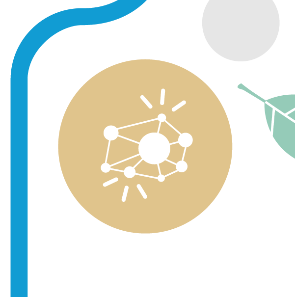 Immune System