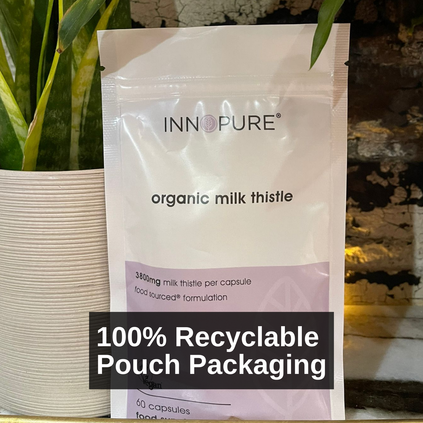 Organic Milk Thistle